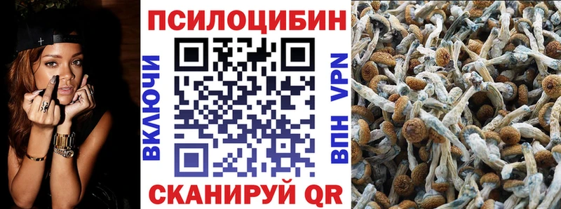 Купить где  Обнинск  Галлюциногенные грибы прущие грибы 