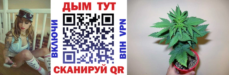 Каннабис семена  Купить где  Обнинск 